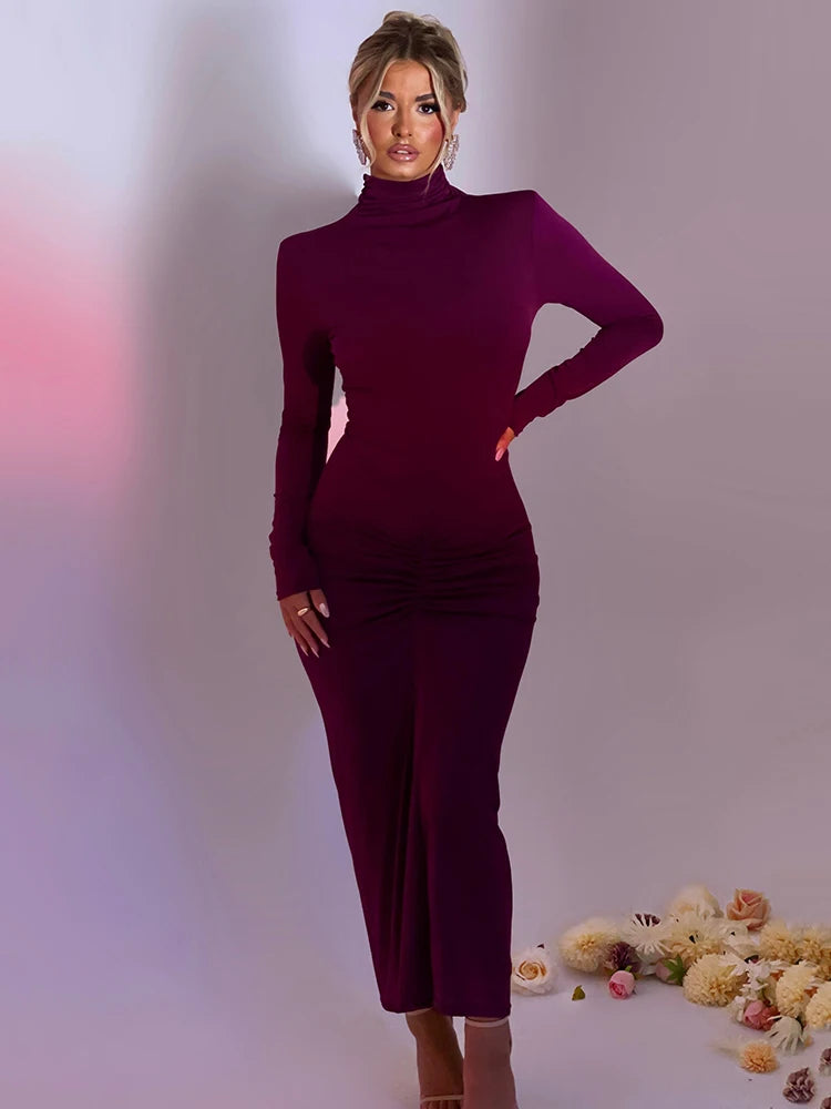 Femmora Turtleneck Long Sleeve Maxi Dress