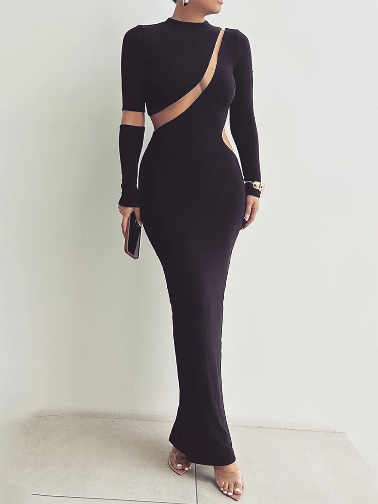 Femmora Turtleneck Long Sleeve Bodycon Maxi Dress