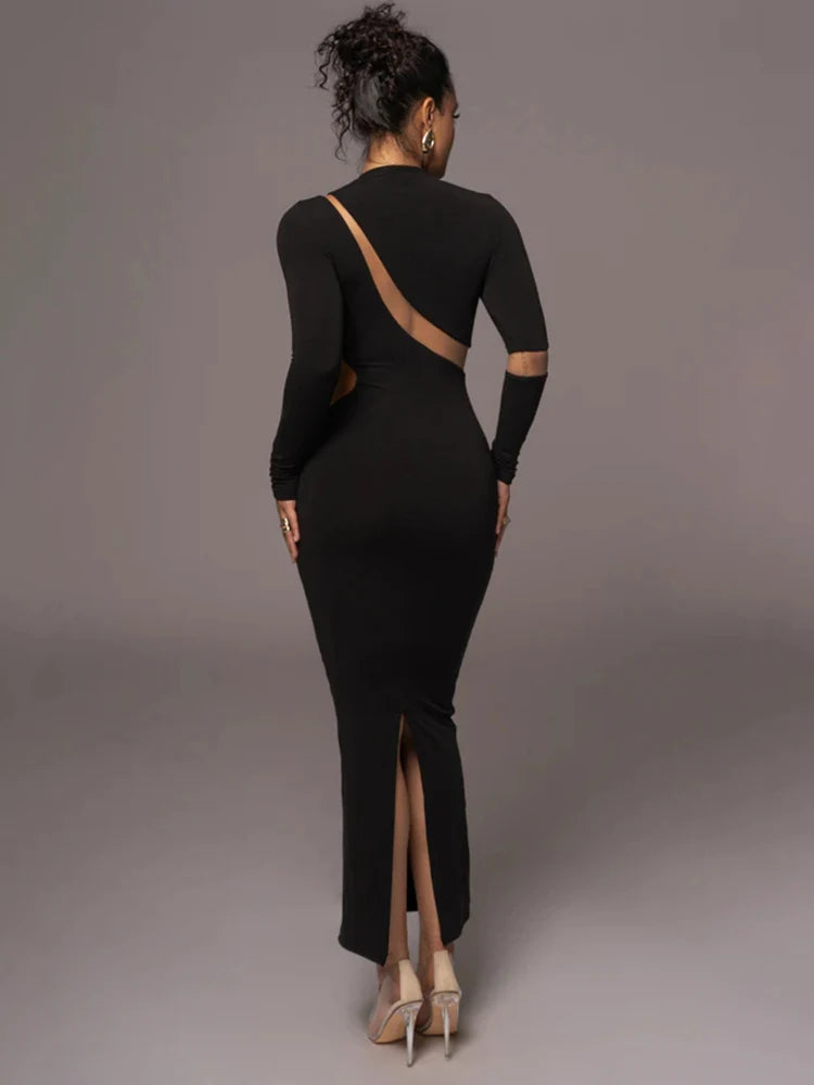 Femmora Turtleneck Long Sleeve Bodycon Maxi Dress