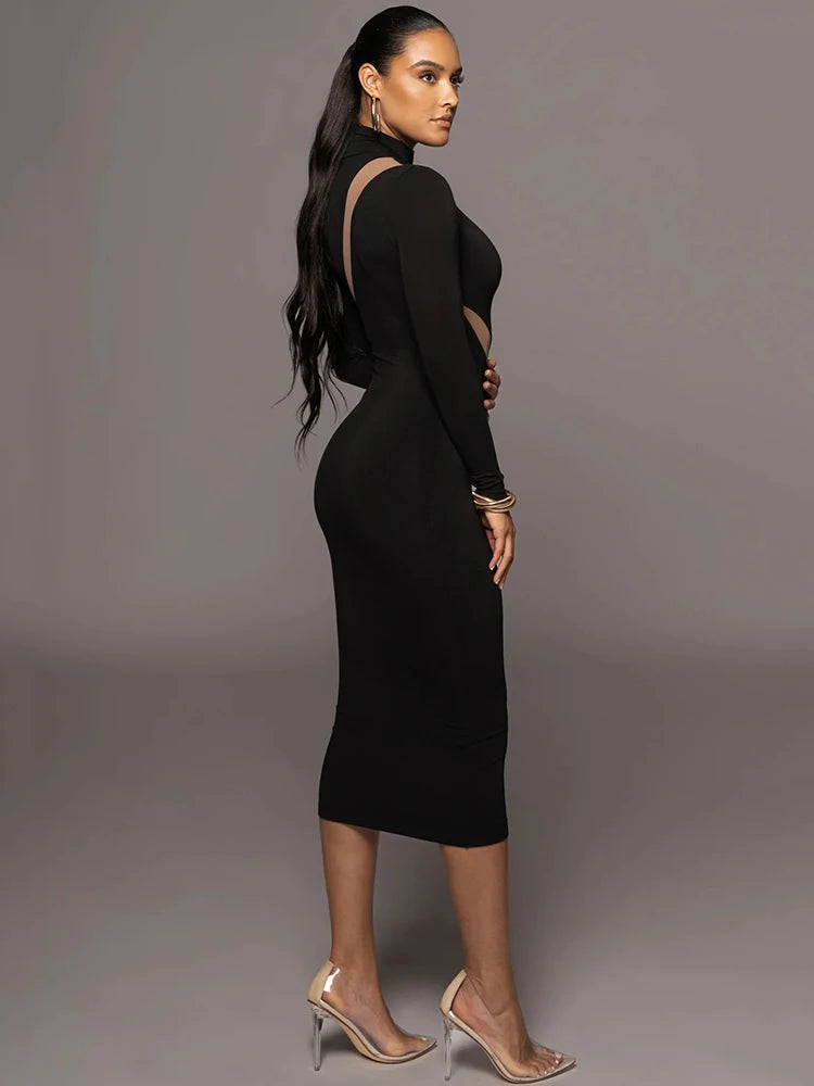 Femmora Elegant Long Sleeve Bodycon Maxi Dress