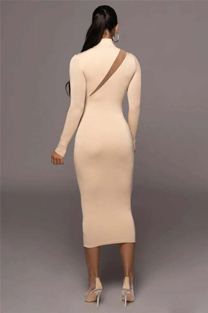 Femmora Elegant Long Sleeve Bodycon Maxi Dress