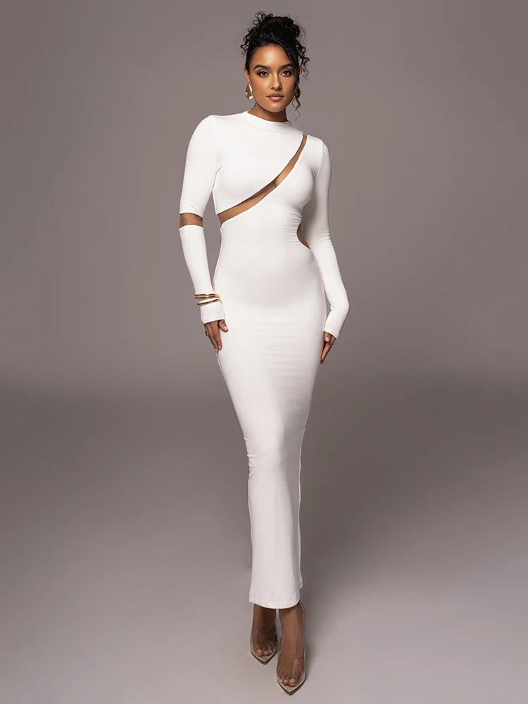 Femmora Turtleneck Long Sleeve Bodycon Maxi Dress