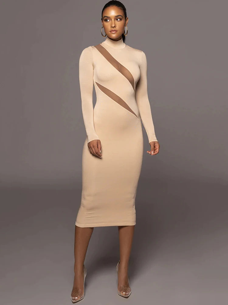 Femmora Elegant Long Sleeve Bodycon Maxi Dress