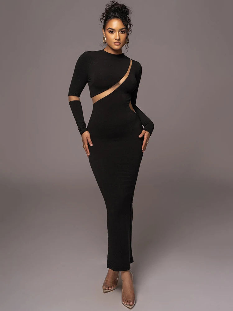 Femmora Turtleneck Long Sleeve Bodycon Maxi Dress