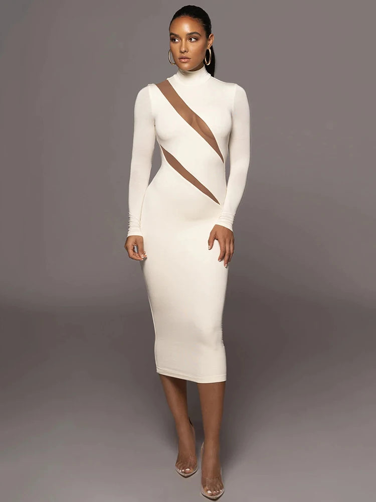 Femmora Elegant Long Sleeve Bodycon Maxi Dress